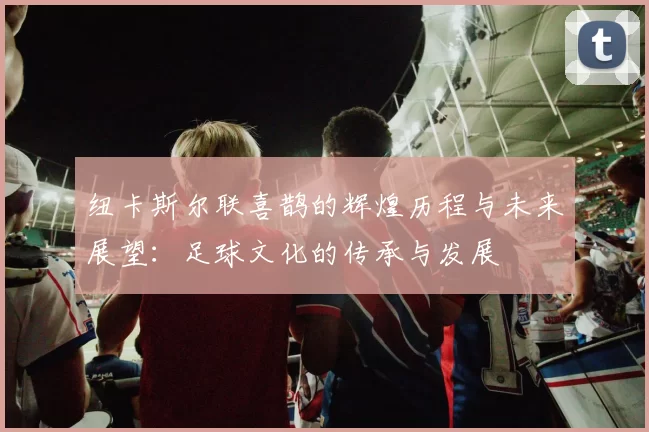 纽卡斯尔联喜鹊的辉煌历程与未来展望：足球文化的传承与发展